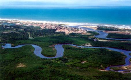 Restaurando e Conservando Ecossistemas: Saiba mais sobre o Projeto de Plantio de Mudas Nativas na Bacia do rio Japaratuba
